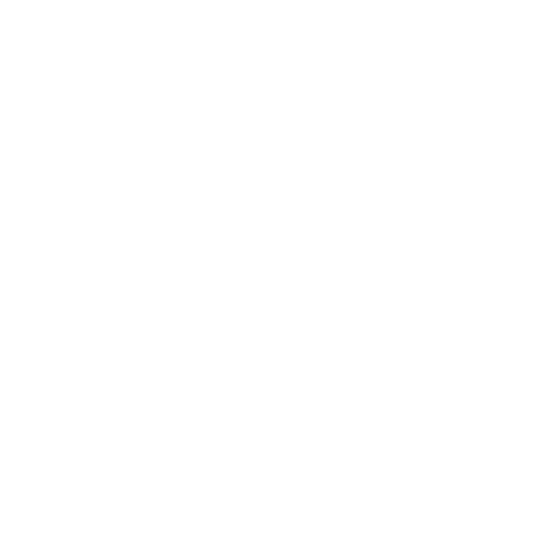Icon 4h
